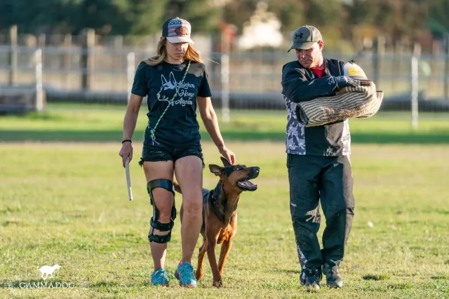 Laizhou Hong : IGP (protection sport) training at Alysium Red Dogs